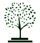 Caerwys Tree